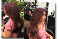 colorbydavid