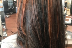 elana-highlights