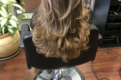 hairandcolorbydavid