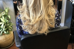 hairbydavidmay2018